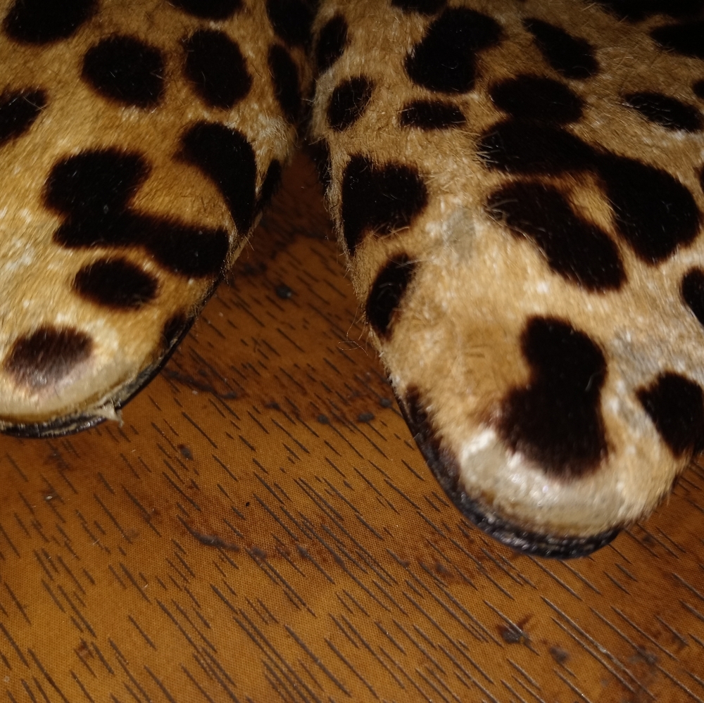 LEOPARD PRINT PUMPS BU JIMMY CHOO - Picture 4 of 5